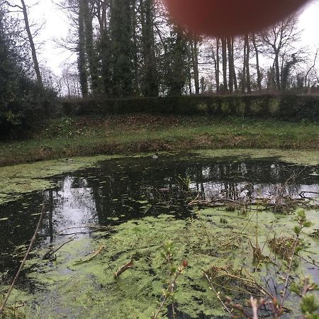 Villa Le Colombier De Royaumont Saint-Arnoult  Esterno foto