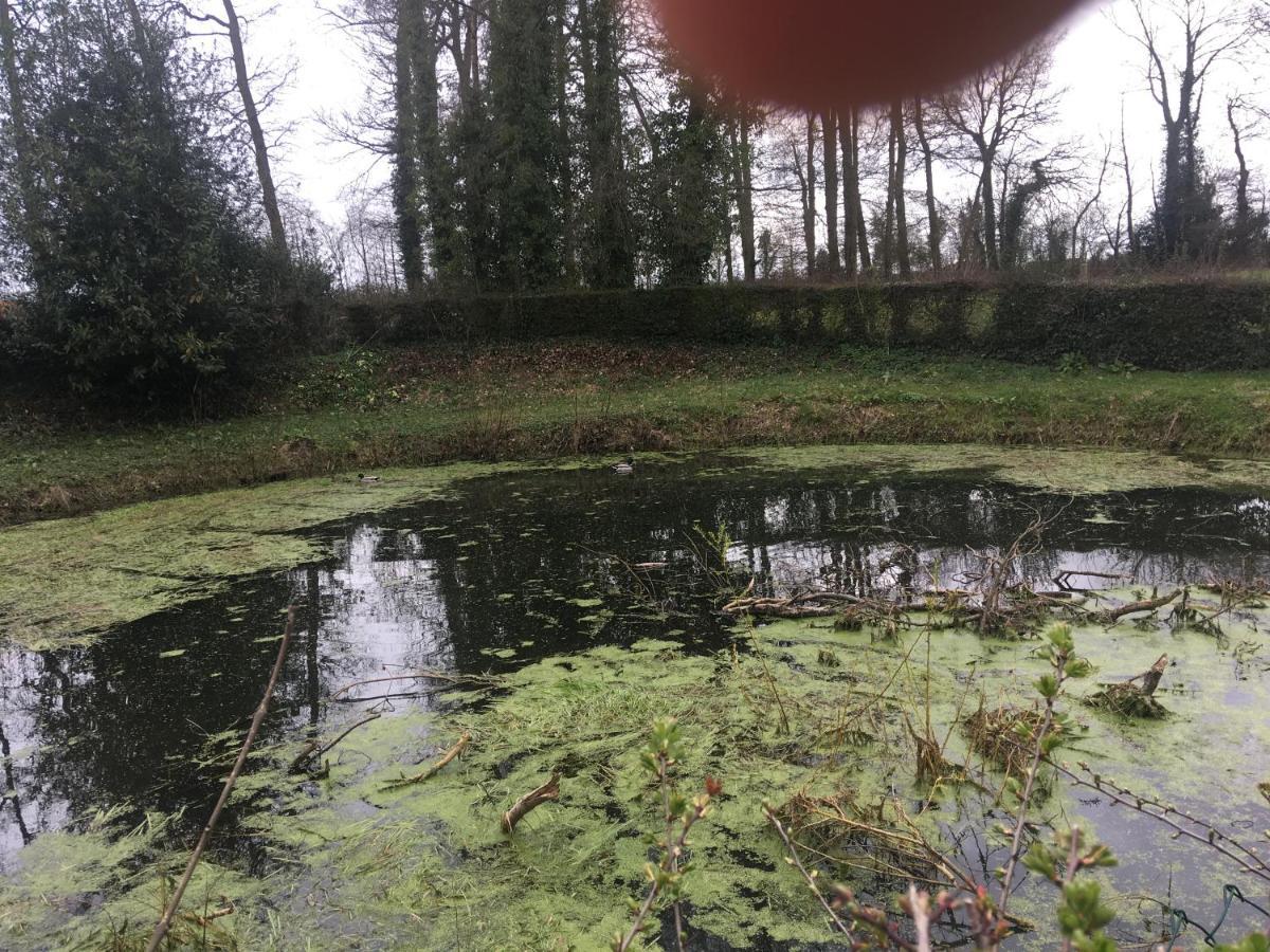 Villa Le Colombier De Royaumont Saint-Arnoult  Esterno foto